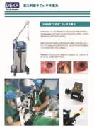 意大利德卡DEKA二氧